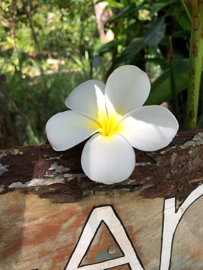 Good Karma Villa Bentota Ngoại thất bức ảnh